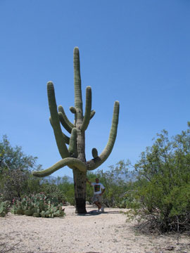 Federico e il saguaro (Saguaro National Park, 2008)